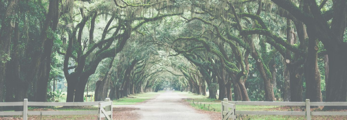 welcome to Savannah/Hilton Head International Airport