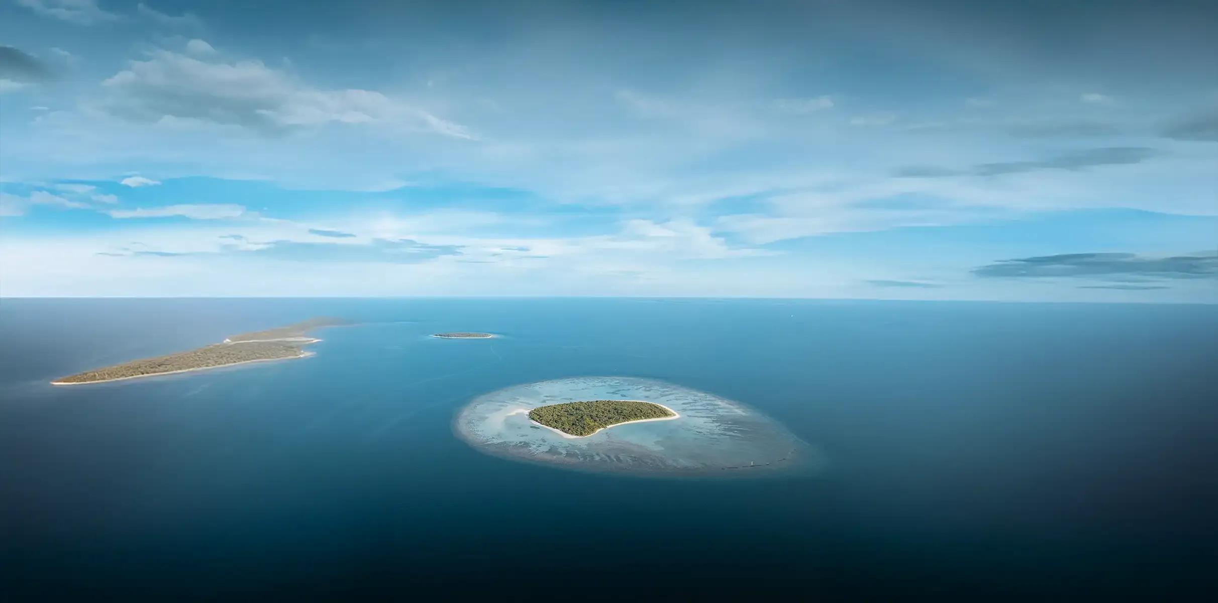 XO INSIDER | Throughout 2026